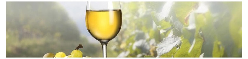 Els nostres vins blancs - Vinsdelbages